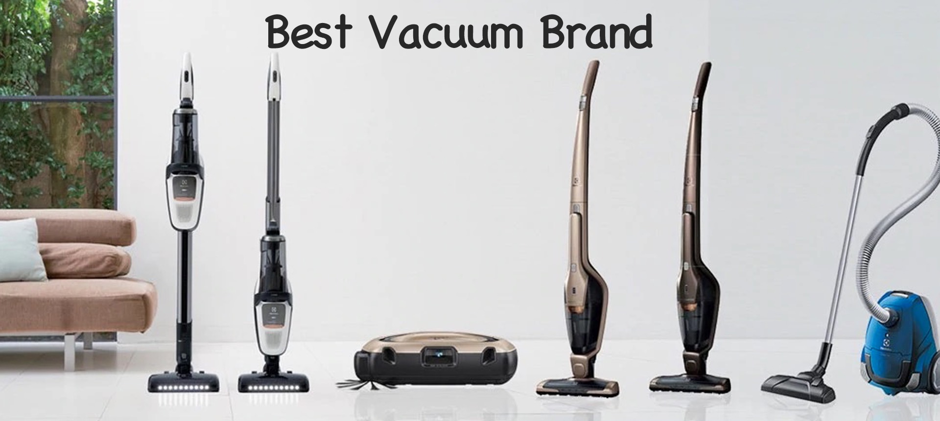 Best Vacuum Brand