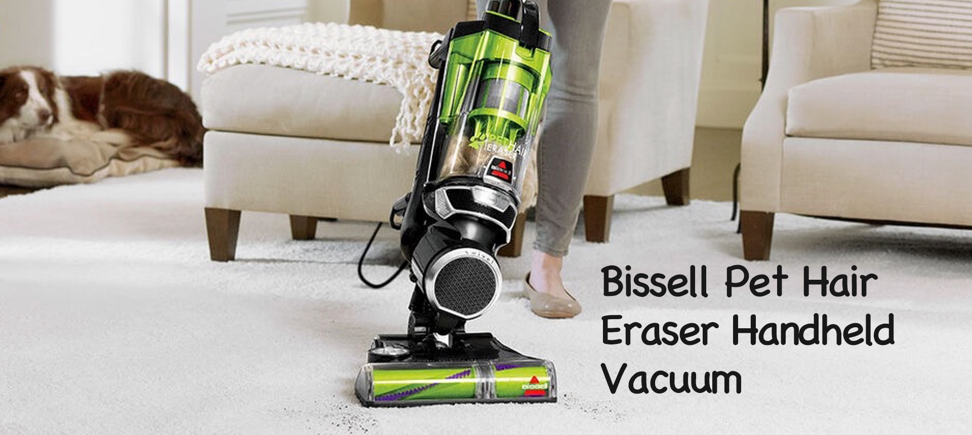 Bissell Pet Hair Eraser Handheld Vacuum