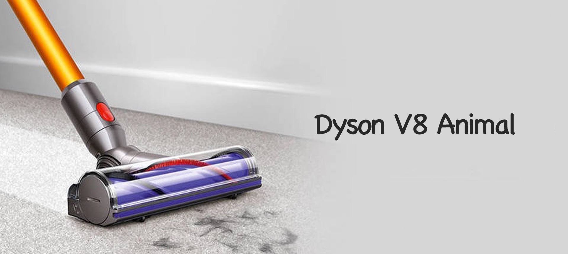 Dyson V8 Animal