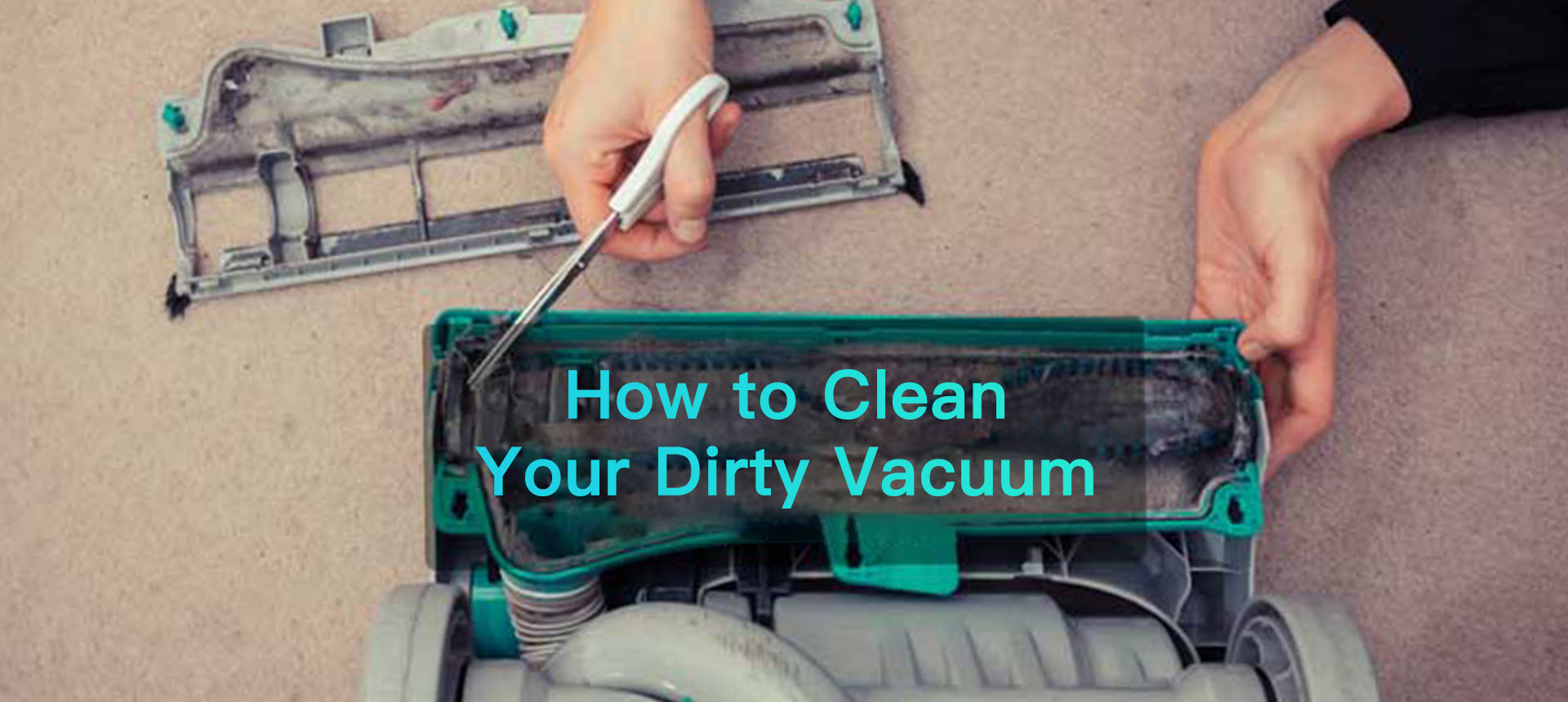 How to Clean Your Dirty Vacuum