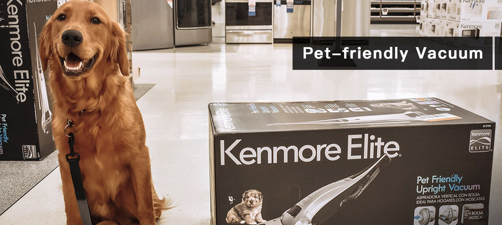 Kenmore Elite vacuum