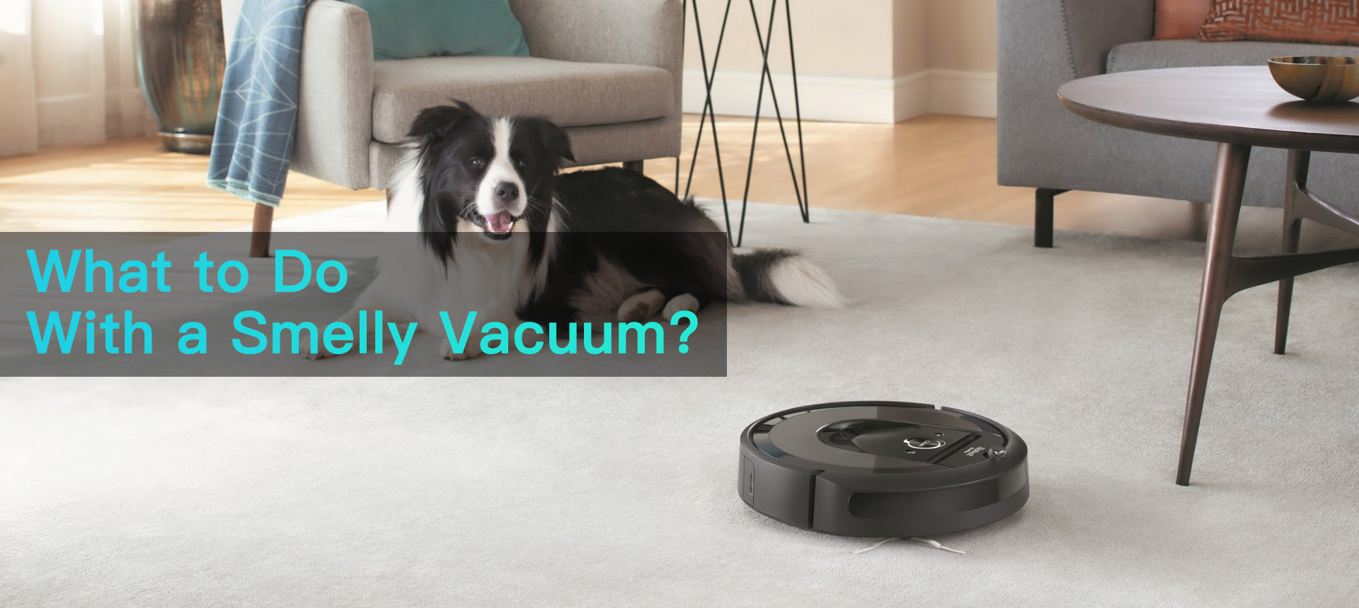 How to Remove Bad Vacuum Cleaner Smells?