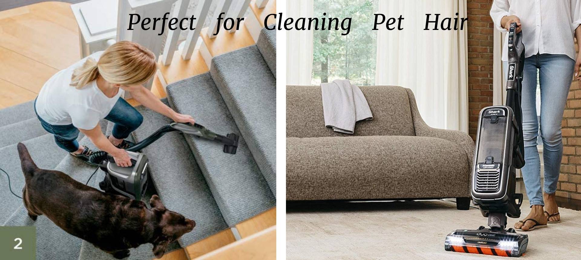 AZ1002 clean Pet Hair