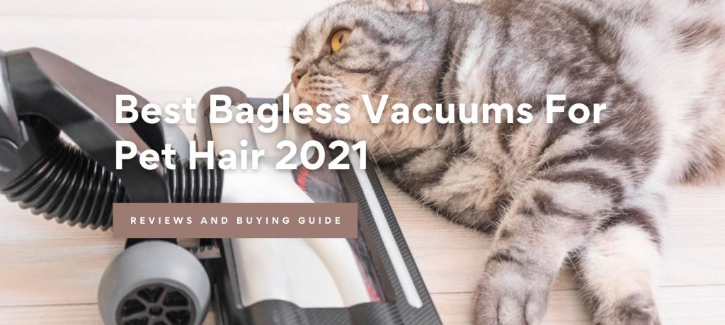Best Bagless Vacuums For Pet Hair 2021
