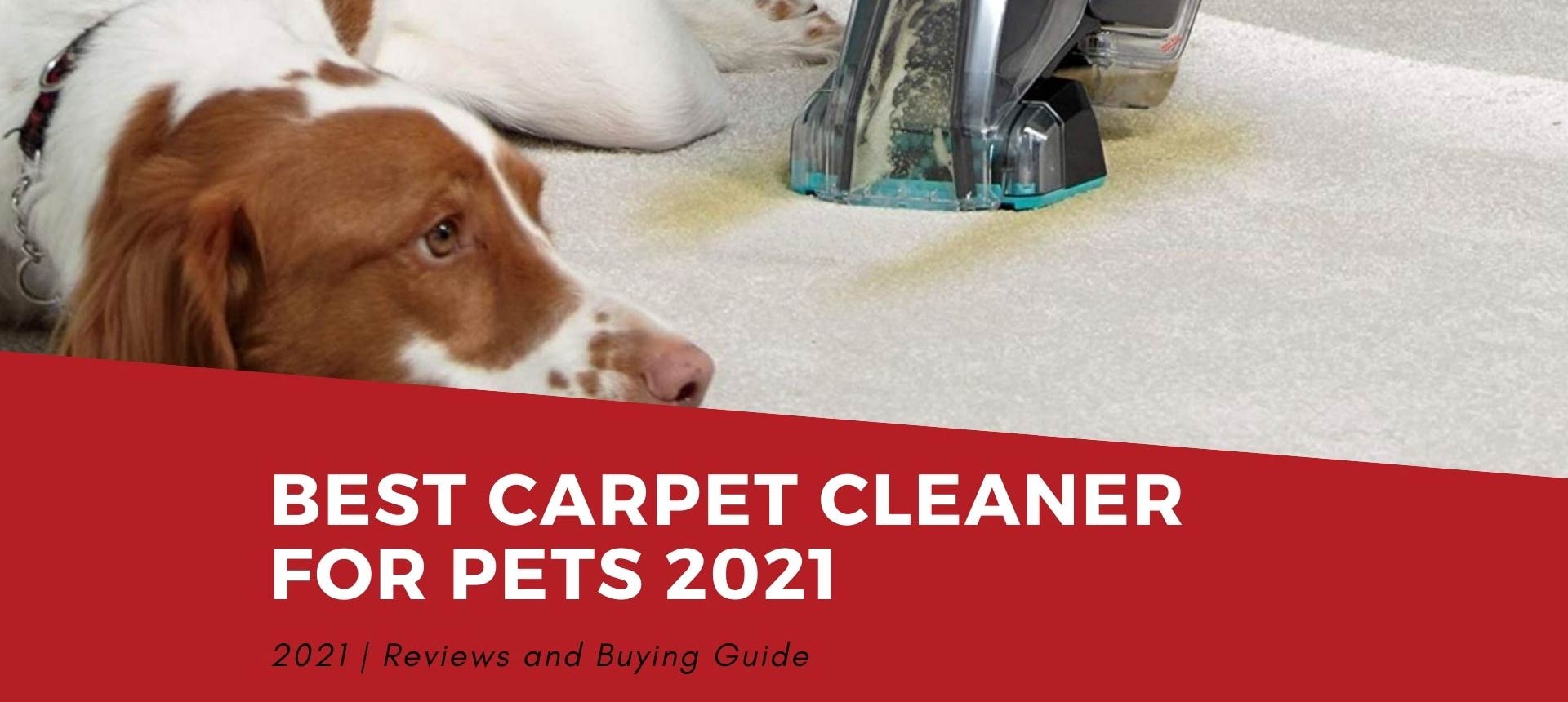 Best Carpet Cleaner For Pets 2021