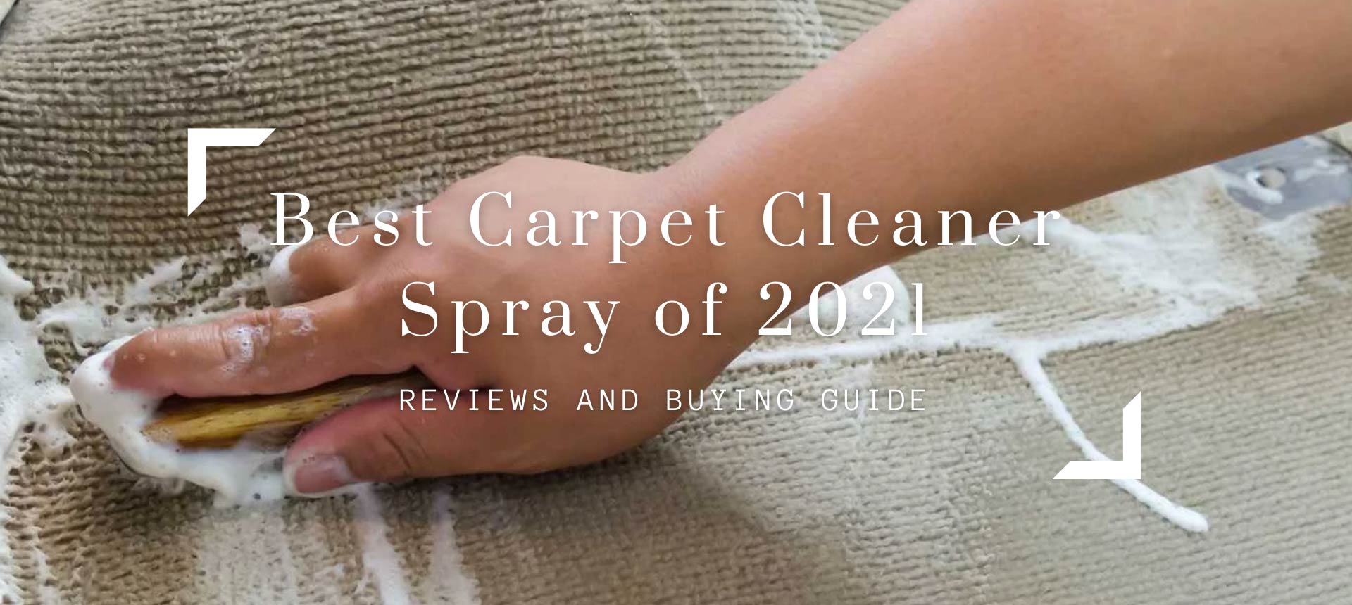 Best Carpet Cleaner Spray of 2021