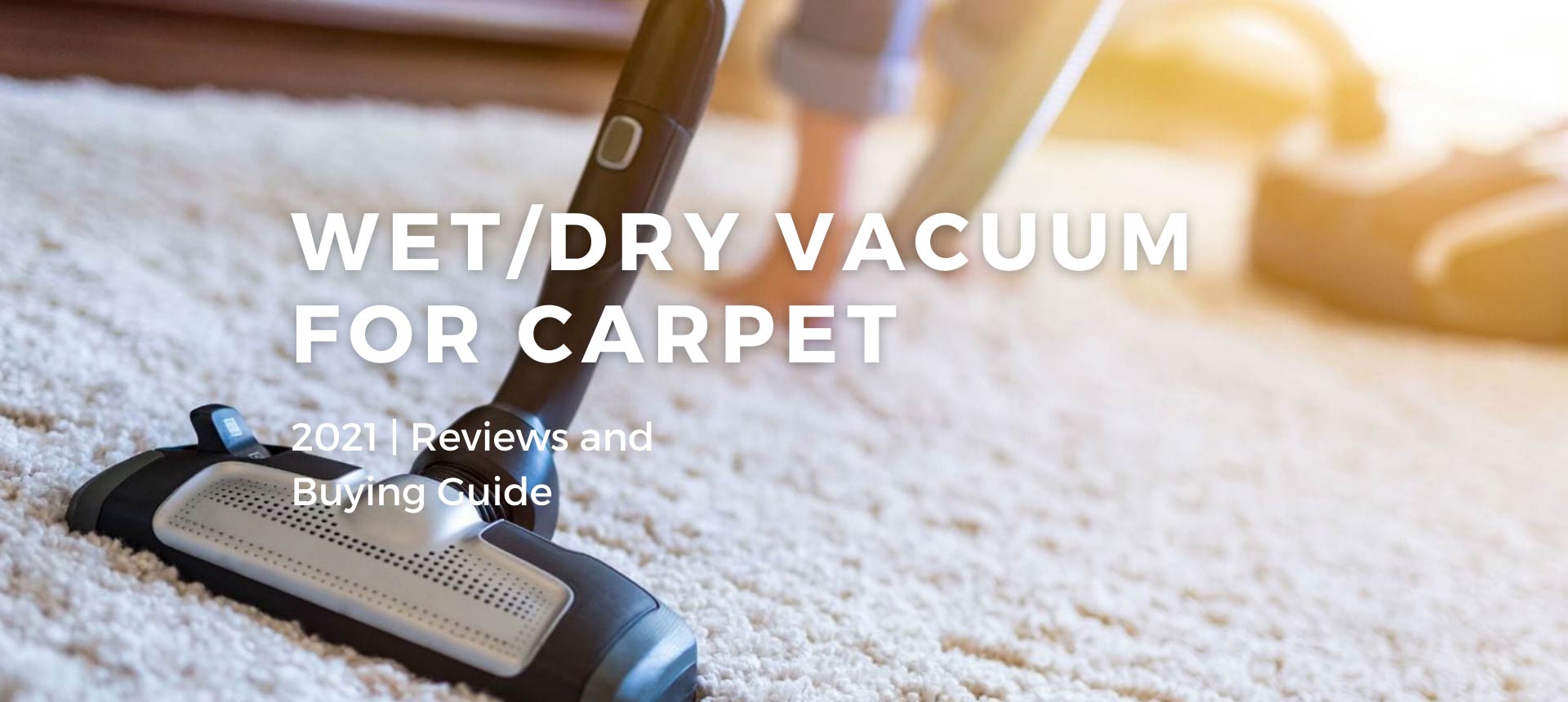 Best Wet/Dry Vacuum Cleaners For Carpet 2021