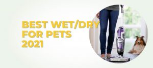Best Wet/Dry Vacuum For Pets 2021