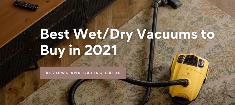 Best Wet/Dry Vacuums to Buy in 2021