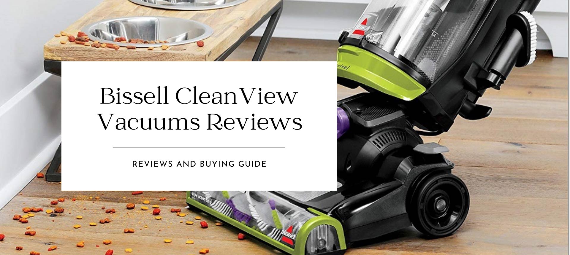 Bissell CleanView Vacuums Reviews of 2021