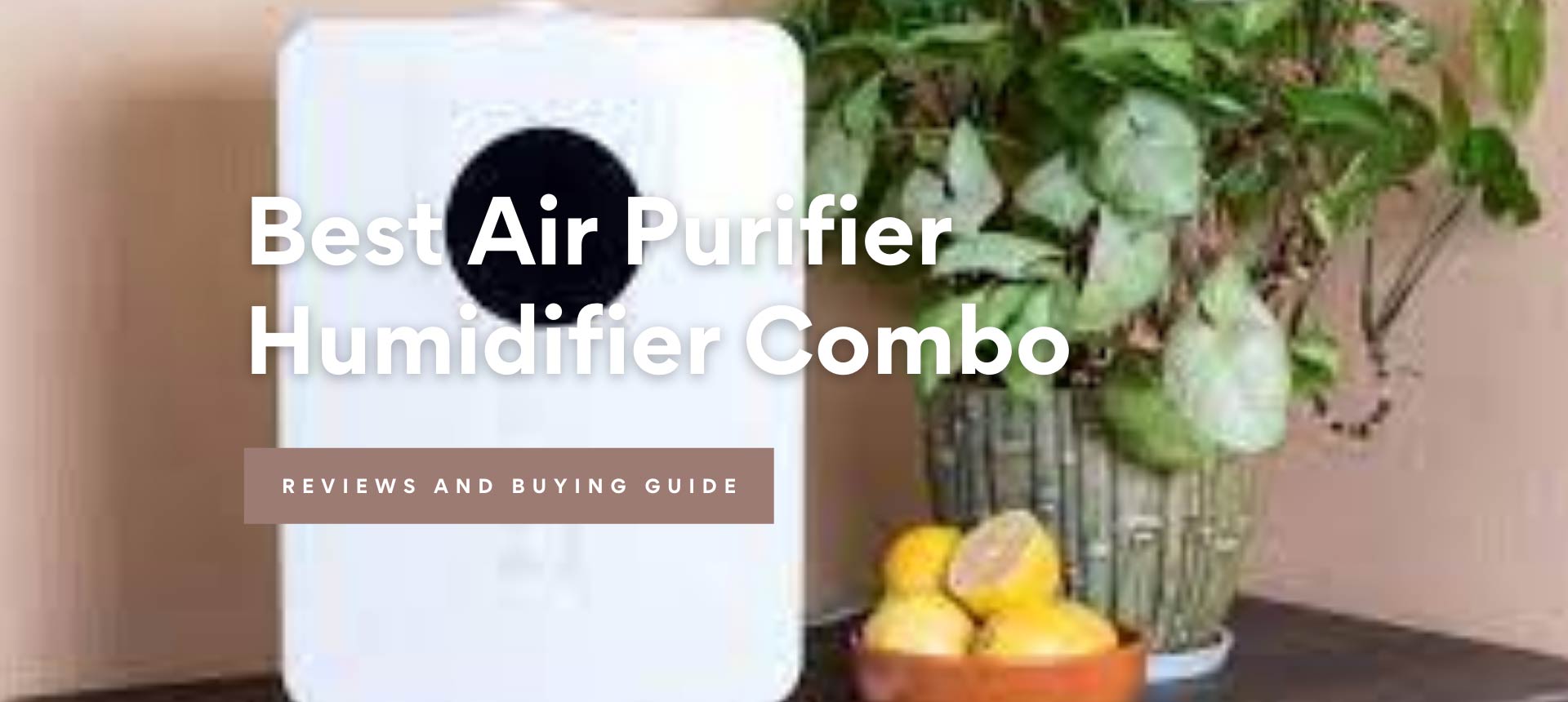 Best Air Purifier Humidifier Combo Review in 2021