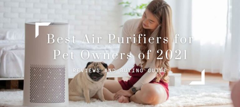 Best Air Purifiers for Pet Owners of 2021