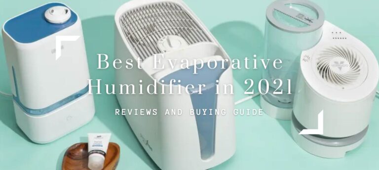 Best Evaporative Humidifier in 2021
