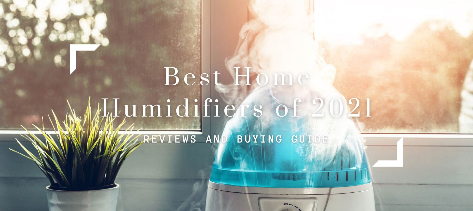 Best Home Humidifiers of 2021