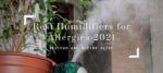 Best Humidifiers for Allergies 2021