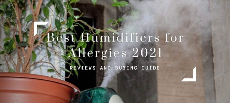 Best Humidifiers for Allergies 2021