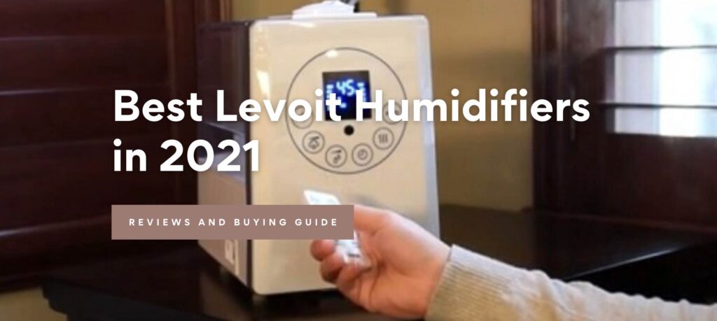 Best Levoit Humidifiers in 2021: Buying Guide