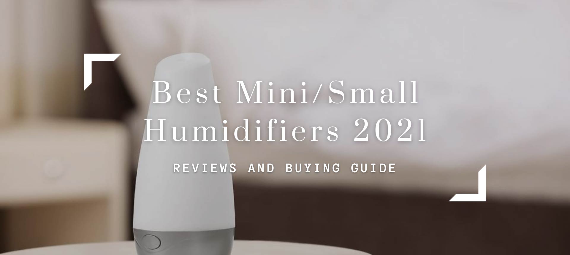 Best Mini/Small Humidifiers 2021