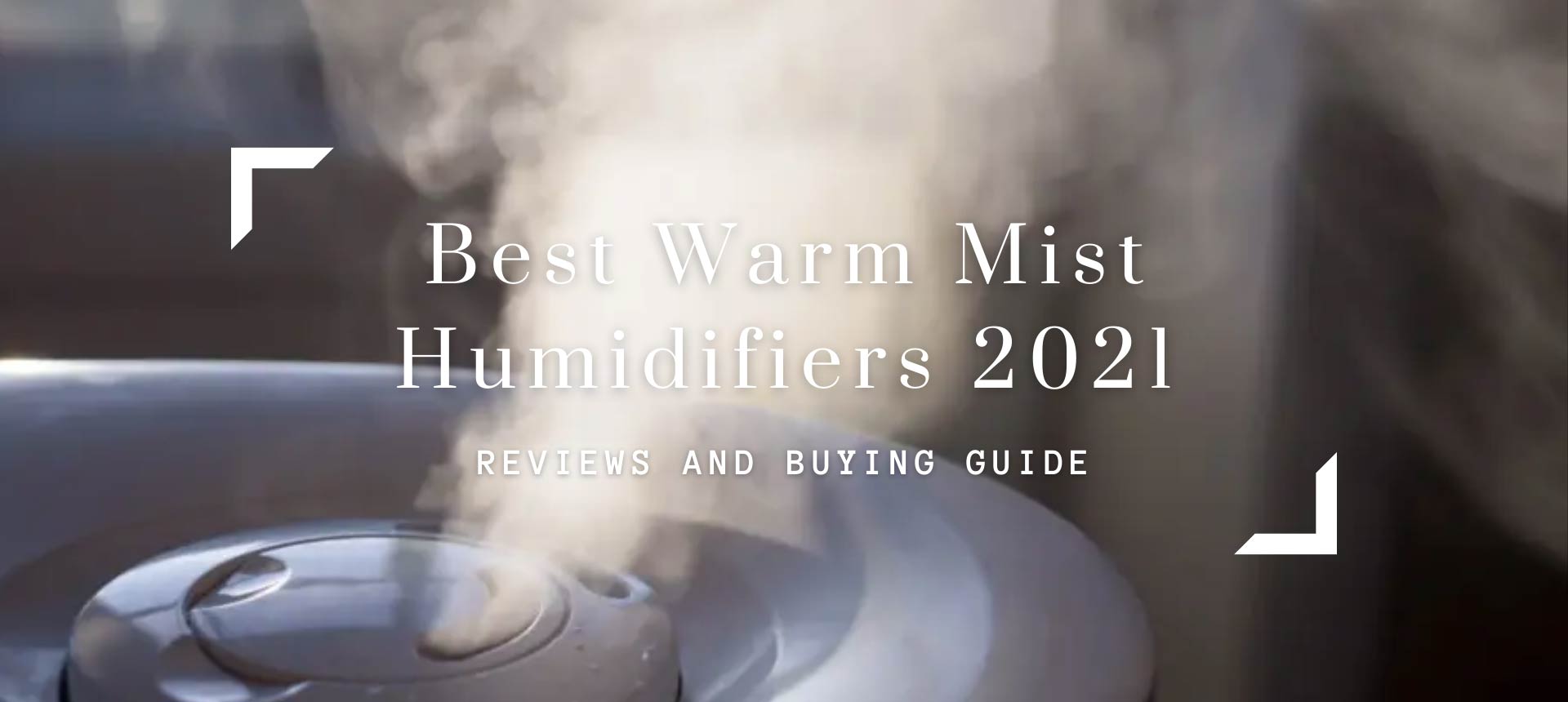 Best Warm Mist Humidifiers 2021