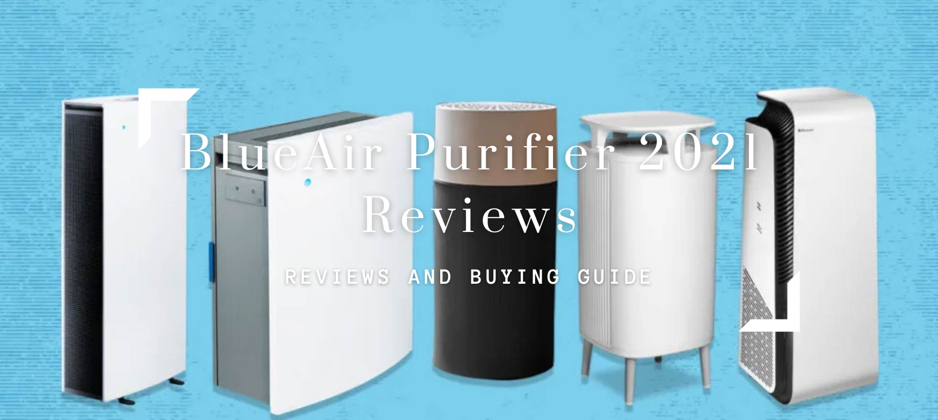 BlueAir Purifier 2021 Reviews