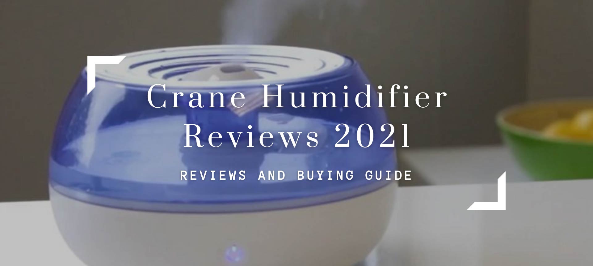 Crane Humidifier Reviews 2021 - Best Model