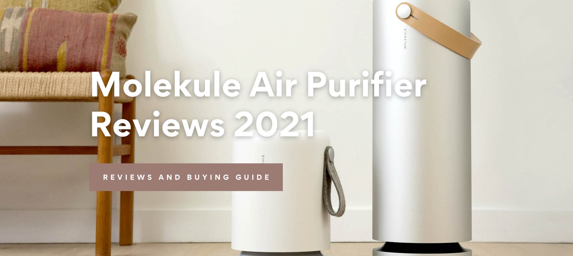 Molekule Air Purifier Reviews 2021