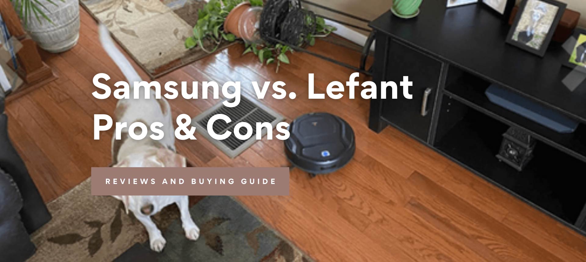 Samsung vs. Lefant, Pros & Cons